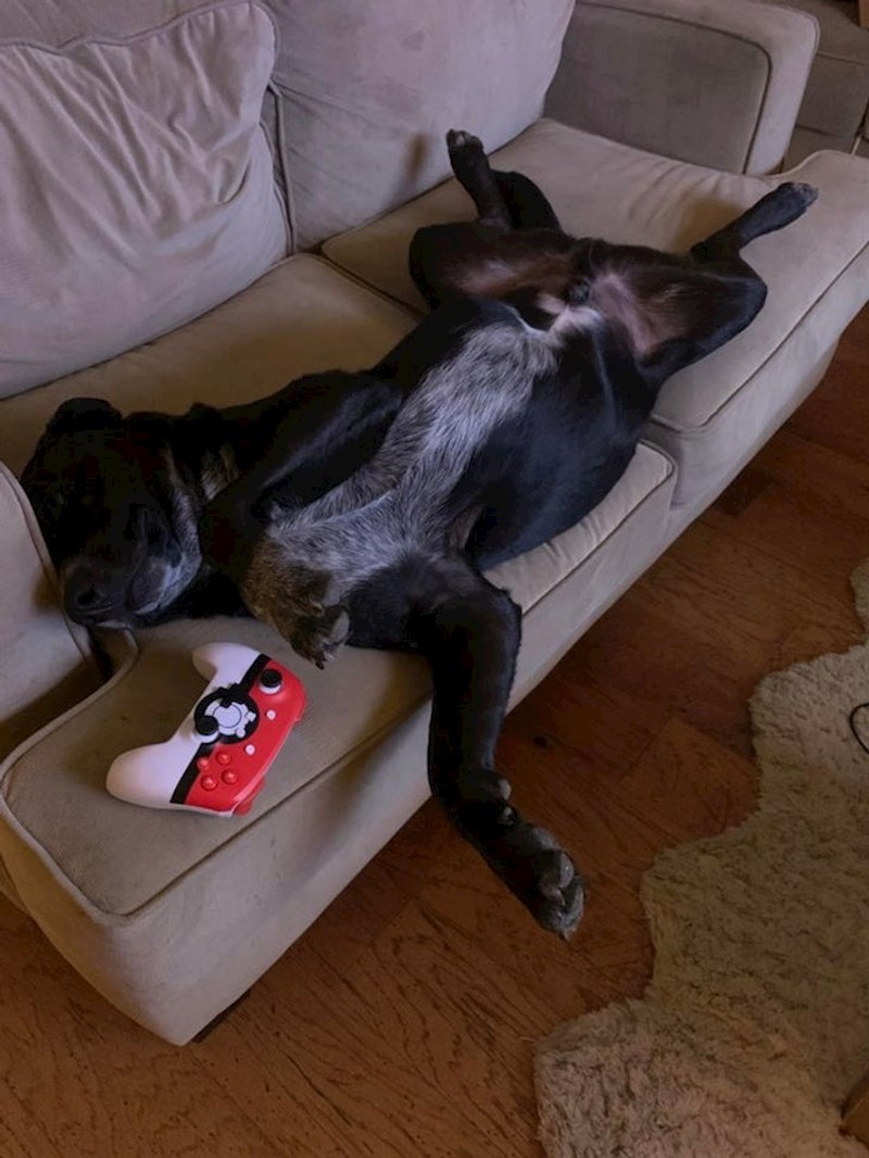 5. "Otišao sam po čašu vode i naravno ostao bez mjesta na kauču."