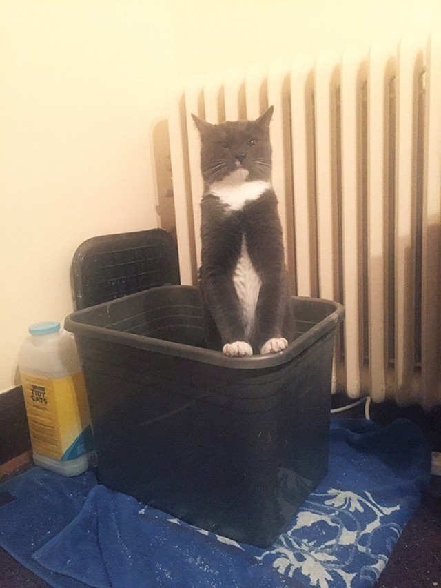 9.