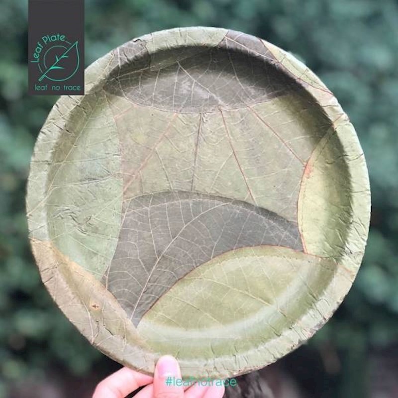 6. Tanjuri od lišća su savršena eko alternativa plastičnim tanjurima, a i puno su ljepši!