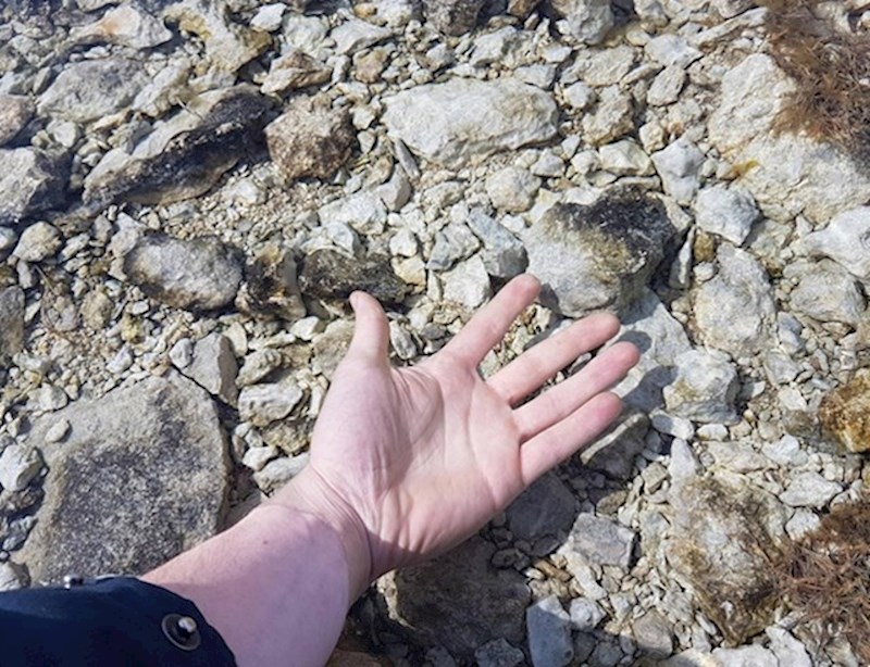 10. Prozirna voda u Baltičkom moru