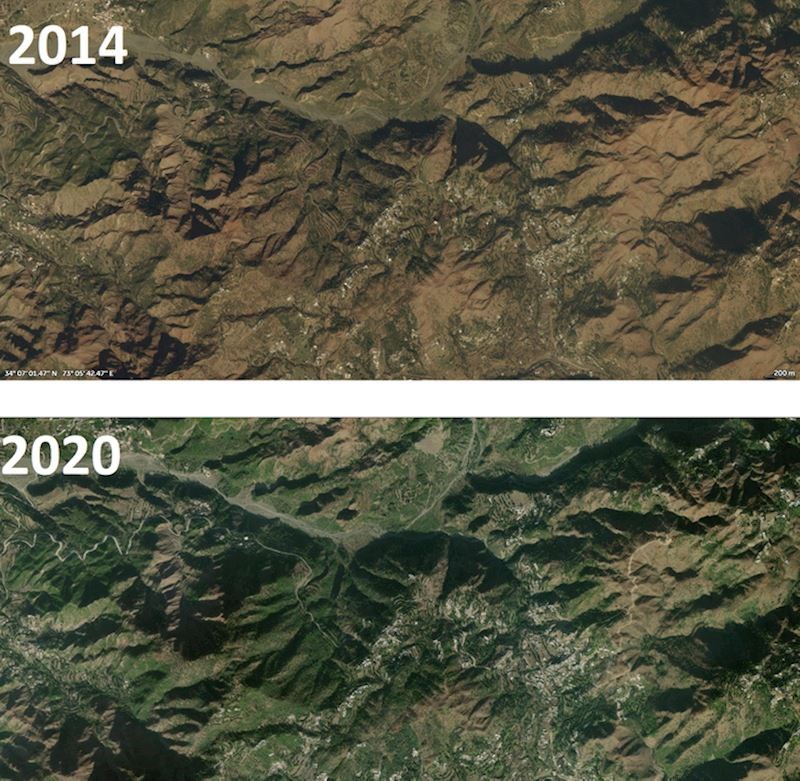 8. Pošumljavanje Pakistana nakon 6 godina daje rezultate