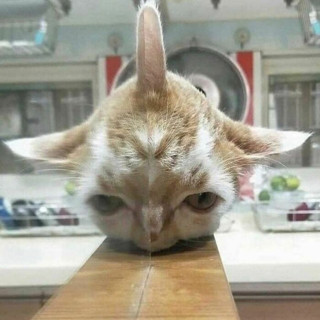9.