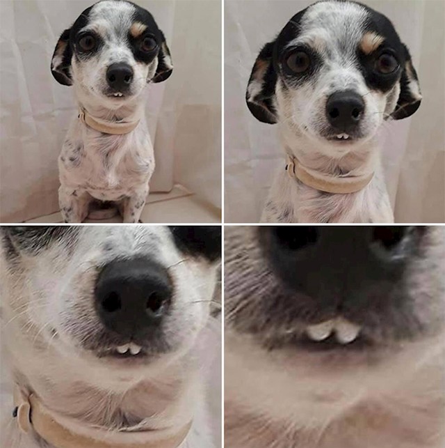 9.