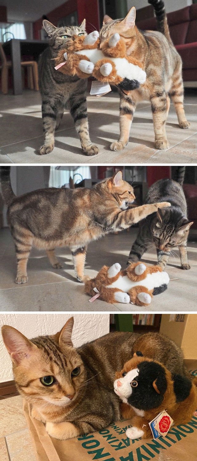 1. Ne da nikome da mu dira najboljeg prijatelja