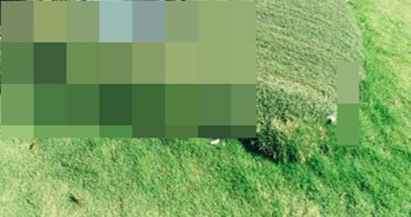 Priroda uvijek na kraju pobijedi, pogledajte njezinu nevjerojatnu moć