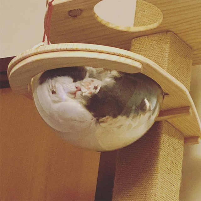 13.