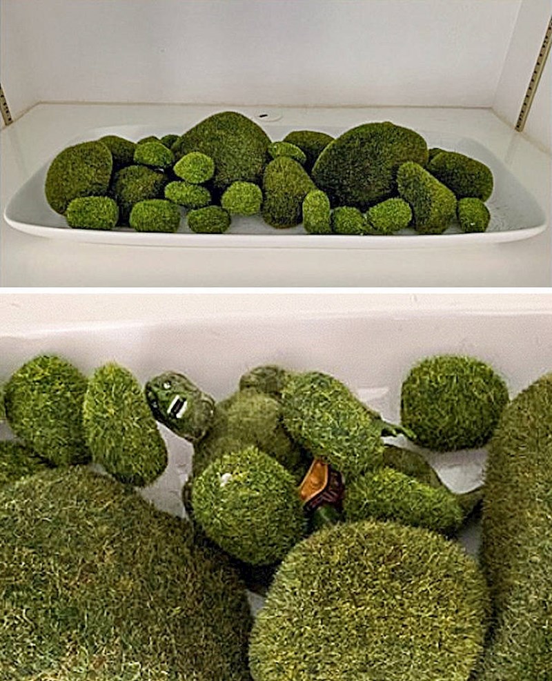 6. Malo je uredio dekoraciju svoje supruge