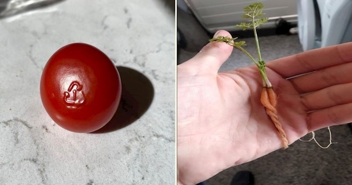 15 fotki običnih stvari u do sad neviđenom izdanju