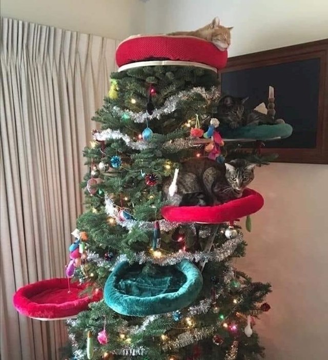 12. Ako vaša maca svake godine uporno napada božićno drvce - problem možete pokušati riješiti ovako.🤣