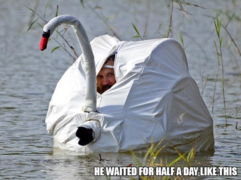 2. Pola dana proveo je ovako.