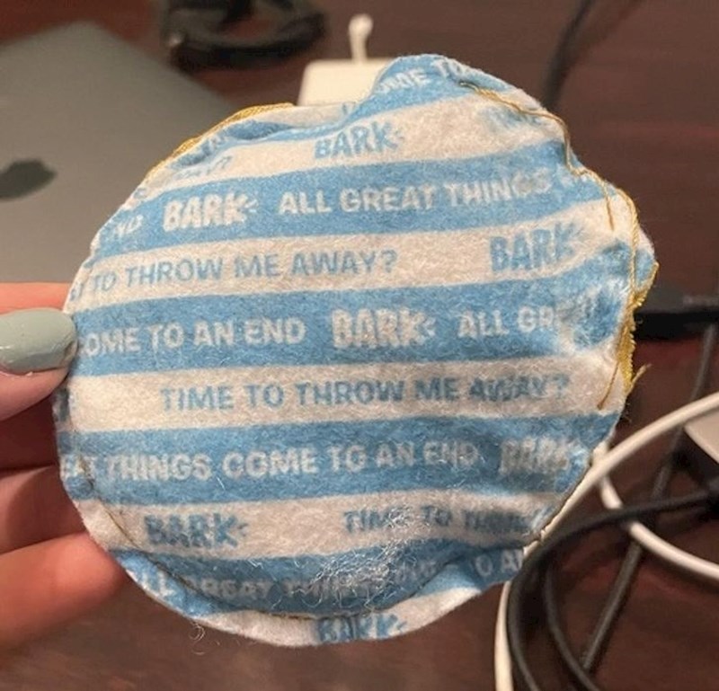 12. Igračka za psa koja vas upozorava kad je vrijeme da ju bacite