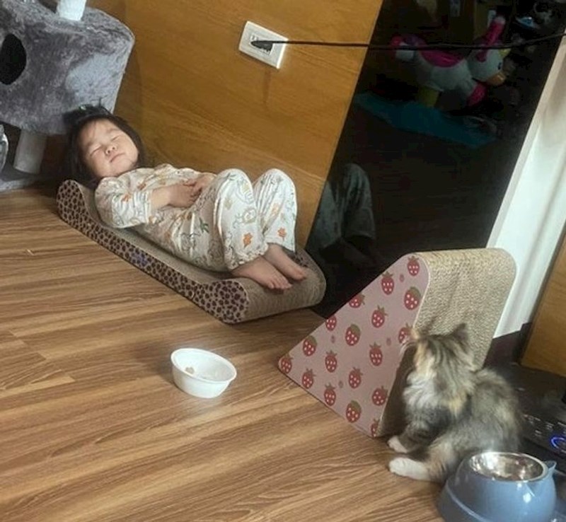 12. Zaspala je na mačjem krevetu