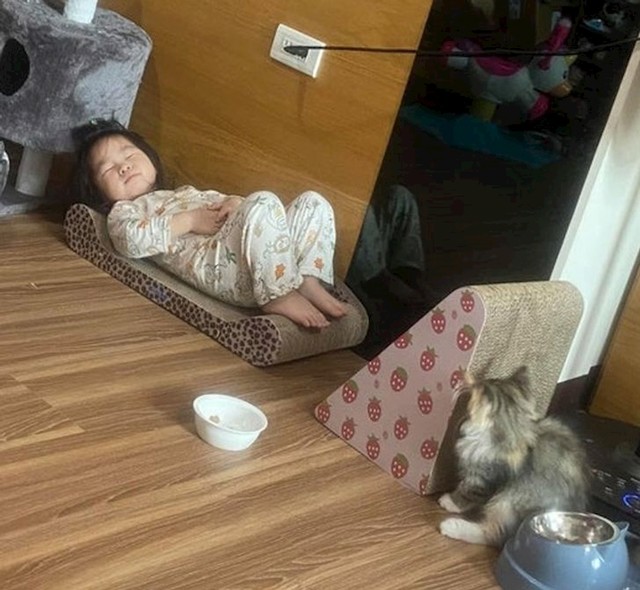 12. Zaspala je na mačjem krevetu
