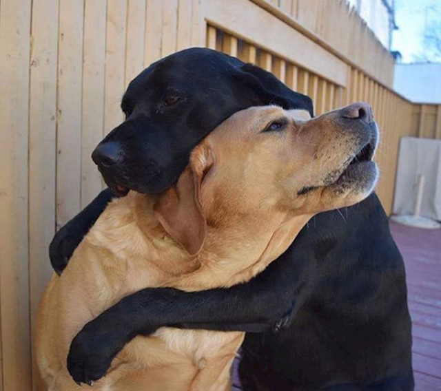 #2