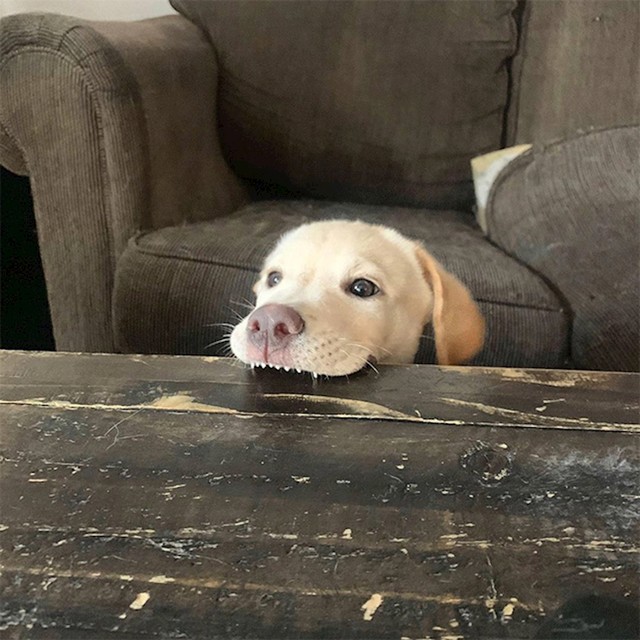 1.