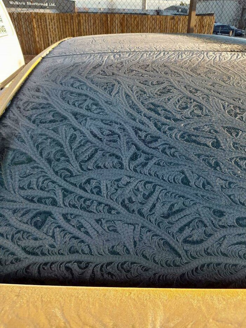 14. Zamrznuti labirint na automobilu