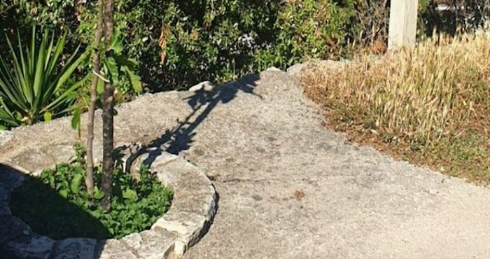 Svi se smiju natpisu iz Dalmacije koji upozorava ljude da ne diraju smokvu