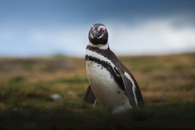 #30