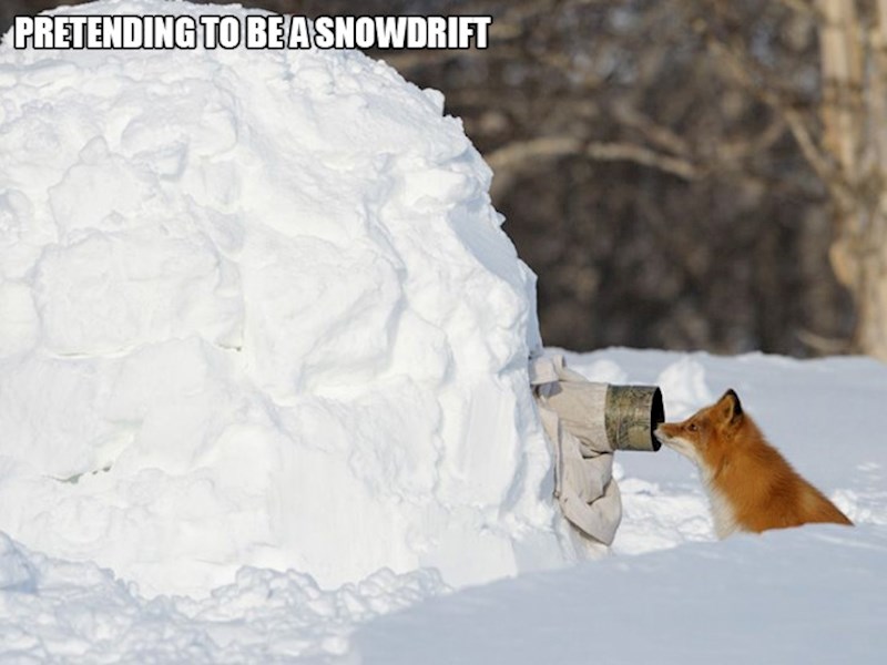 3. Pretvara se da je snježna kugla.