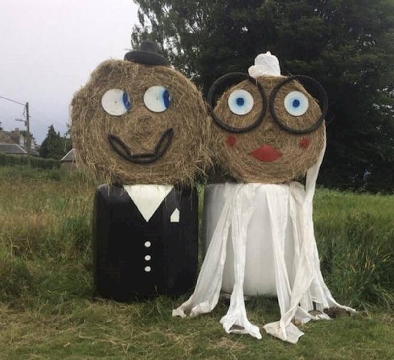 12. Jedan farmer je priredio iznenađenje za svoje susjede koji su se vjenčali