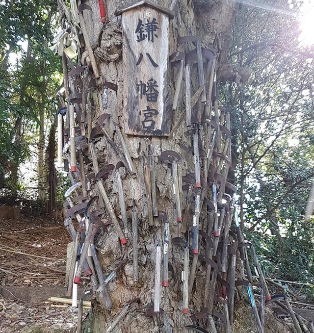 6. Dosta neobično ukrašeno stablo u Japanu
