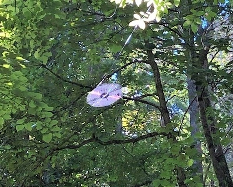 5. Paukova mreža izgleda kao CD