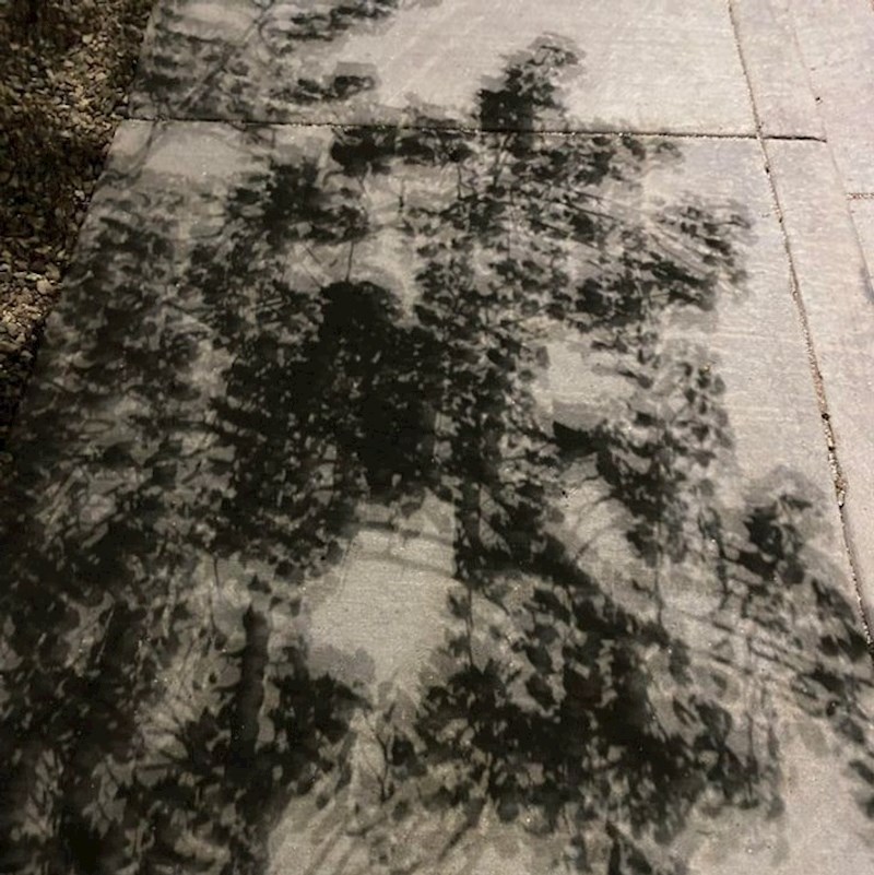 14. Jako čudna sjena