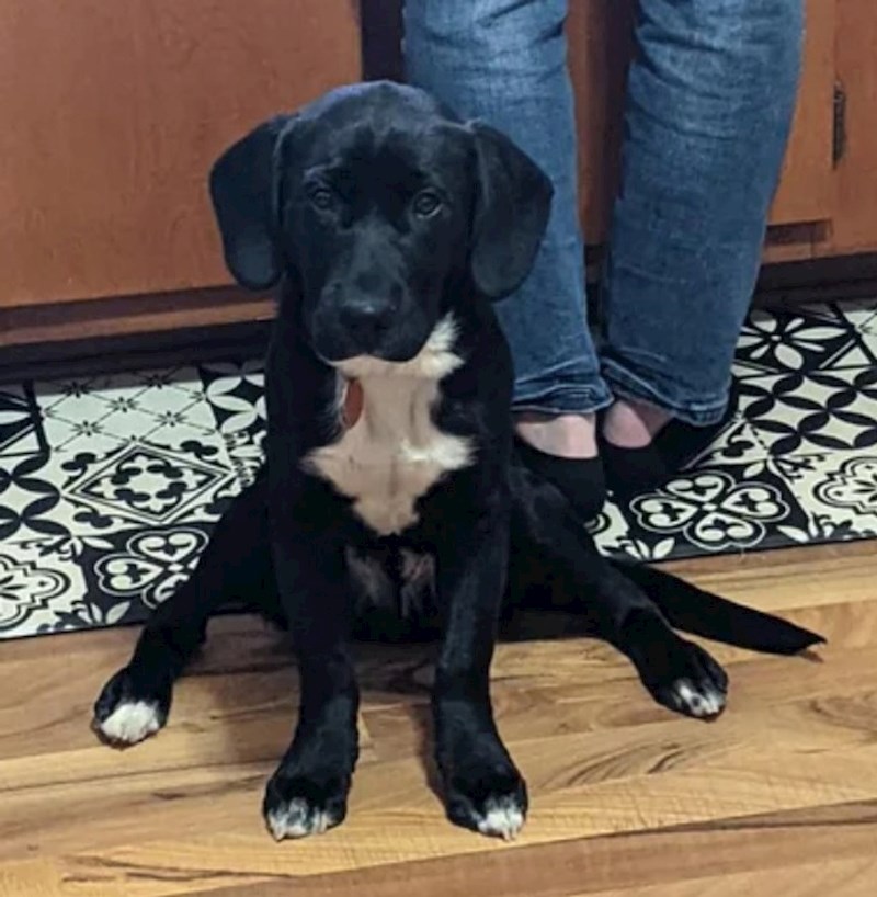 14. Još jedan peso koji sjedi na presmiješan način