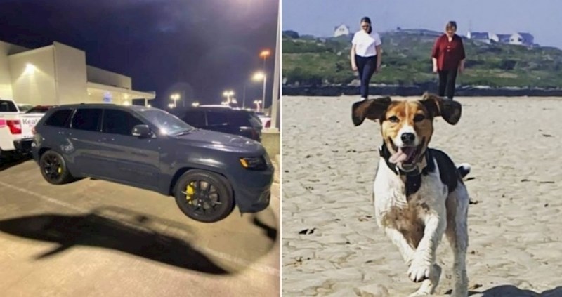 15 fotki koje bi vas na prvi pogled mogle majstorski prevariti