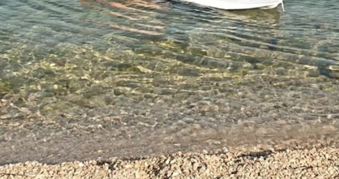 Tip je postao hit na društvenim mrežama zbog svoje metode ronjenja, plakat ćete od smijeha na ovo