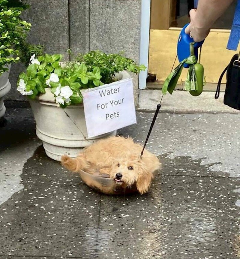 2. Nisu baš na to mislili, ali ok