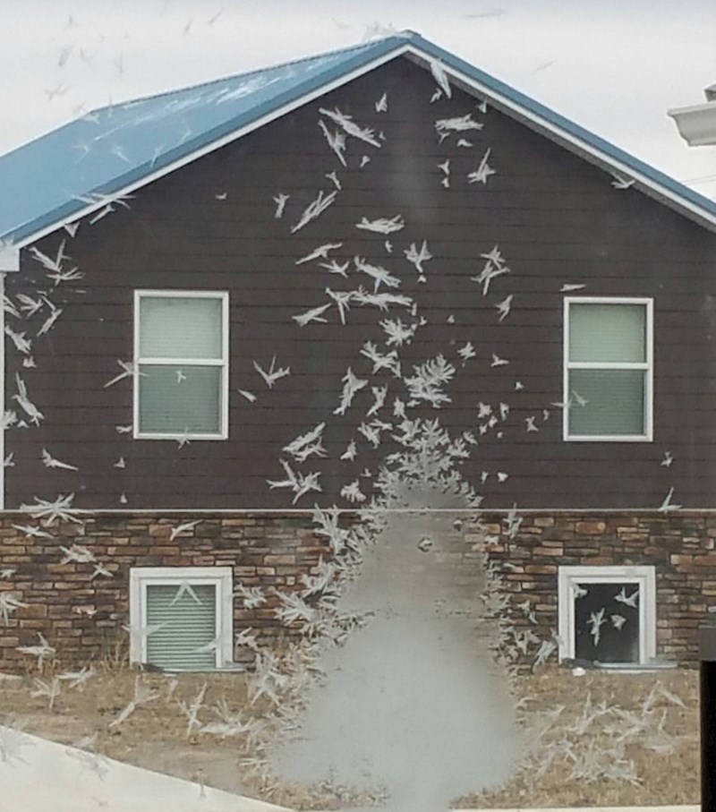 7. Kao jato ptica🤩