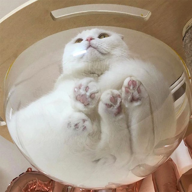 4.