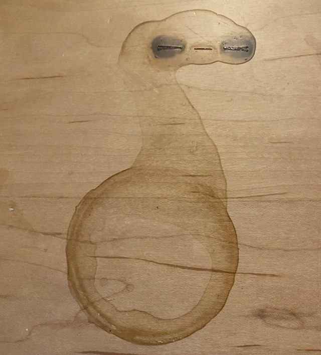 11. Mrlja od kave izgleda kao ET