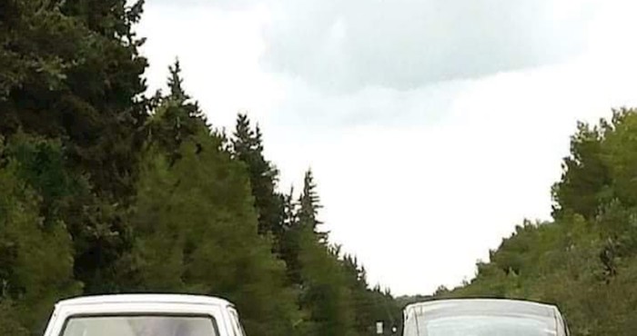 Netko je na cesti kod Zadra snimio urnebesnu scenu, morate vidjeti ovaj hit