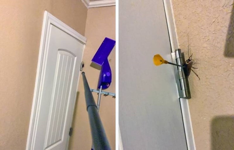 15. Kako on eliminira žohara...