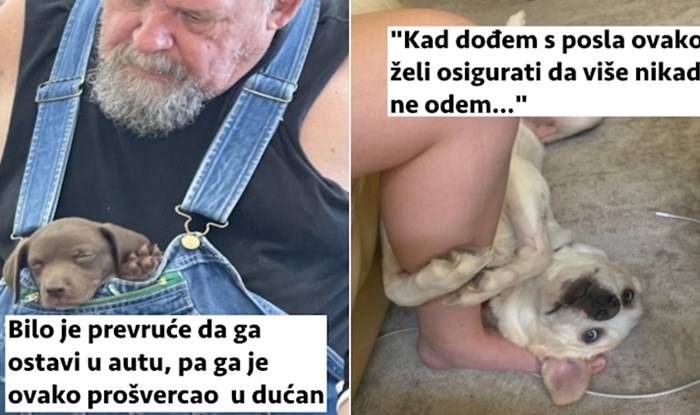 18 fotki koje će vas uvjeriti da kućni ljubimci obogaćuju i uveseljavaju život