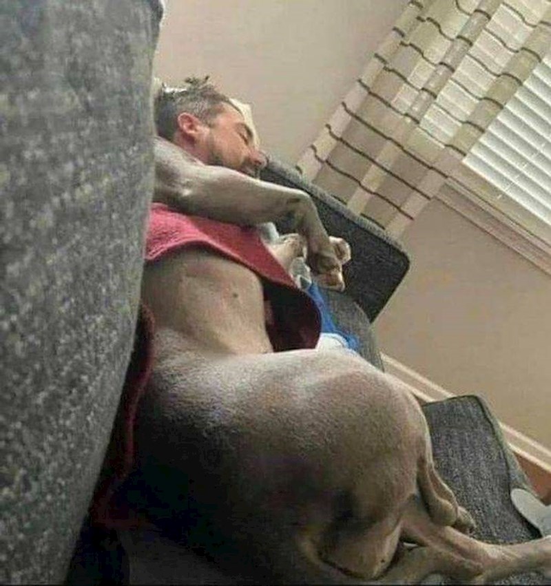 7. Hibridno čudovište