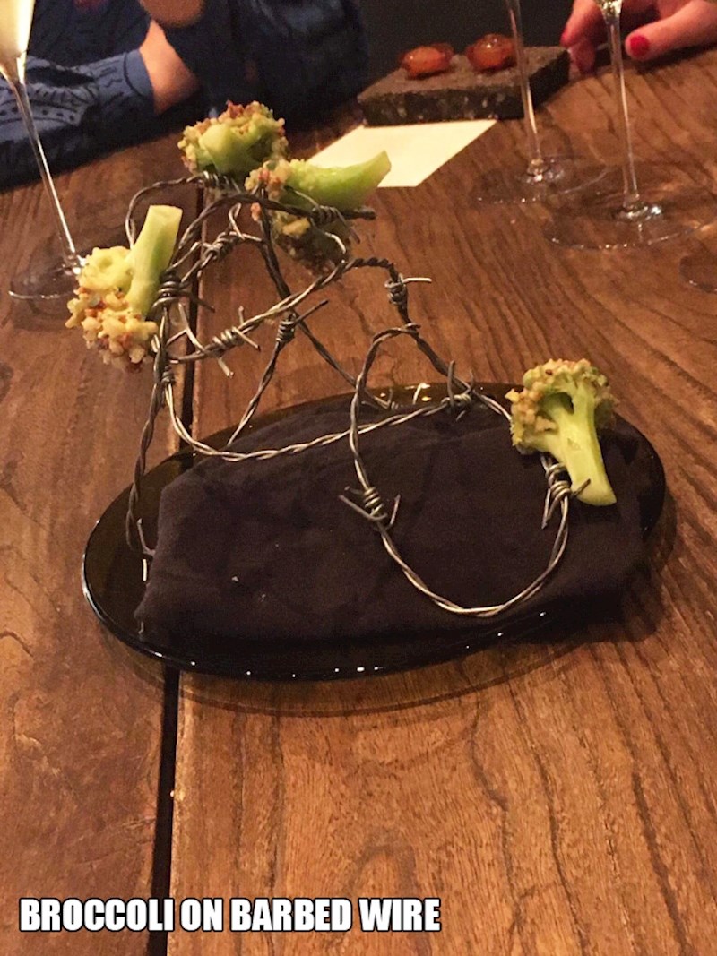 14. Brokula na bodljikavoj žici