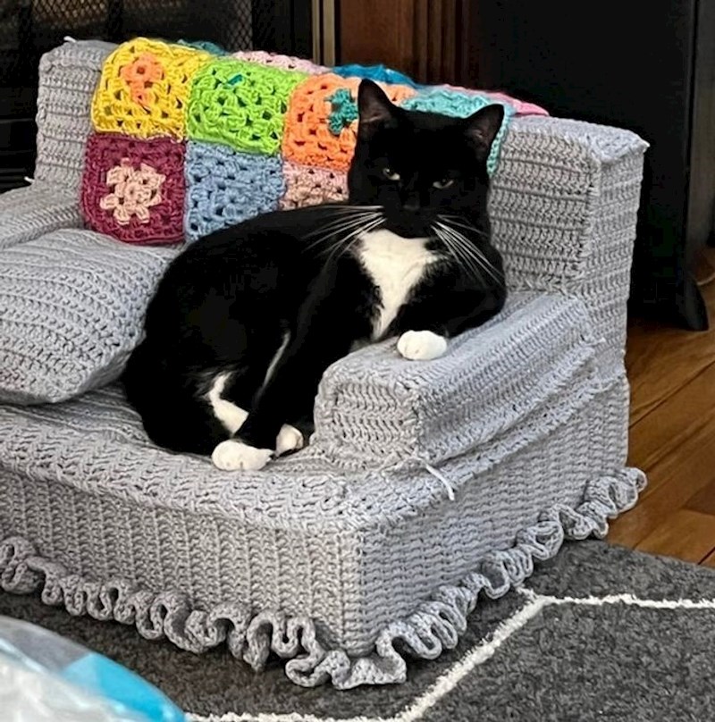 8. "Moja baka napravila je maci kauč! Izgleda da joj se dopao..."