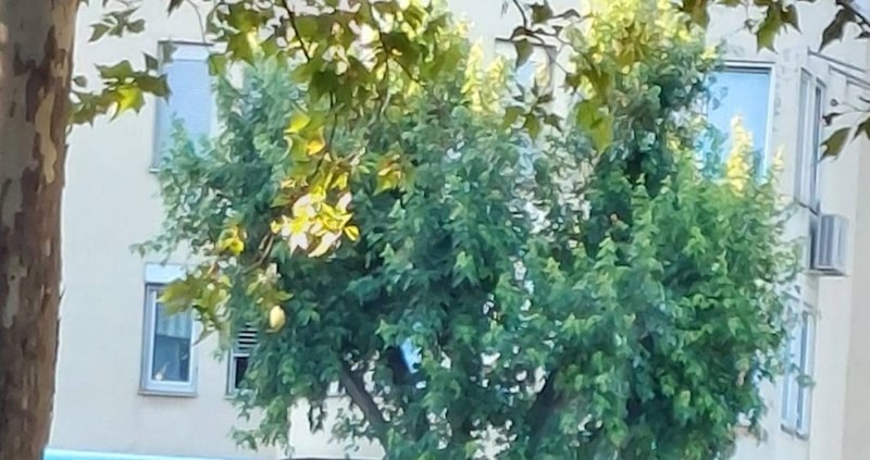 Natpis koji je usred ljeta osvanuo na autobusu ZET-a zaprepastio je mnoge, odmah ćete vidjeti zašto