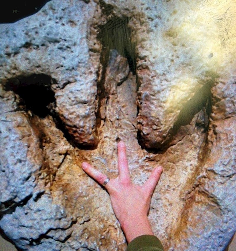 1. "Naša učiteljica rođena je s tri prsta. Našla je otisak koji joj skoro pa odgovara."