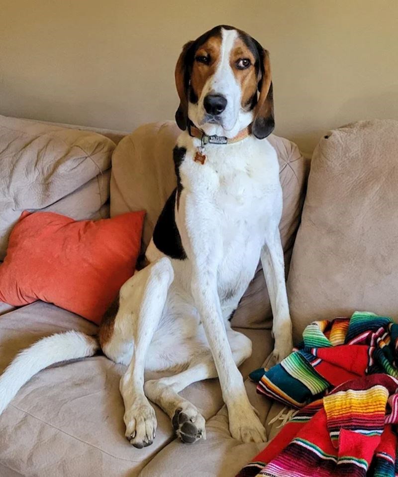 5. Promatra klince iz susjedstva koji trče po njegovom travnjaku. Nije zadovoljan.