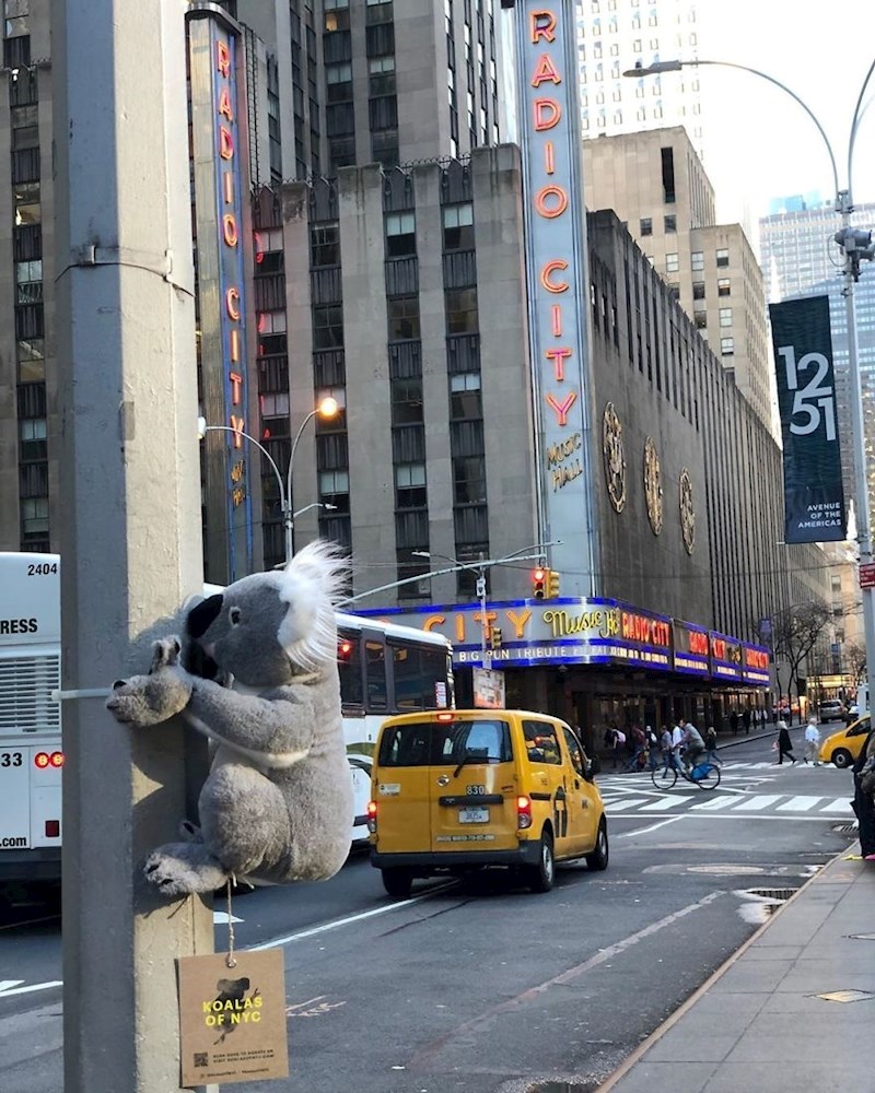 5. Glazbena dvorana Radio City