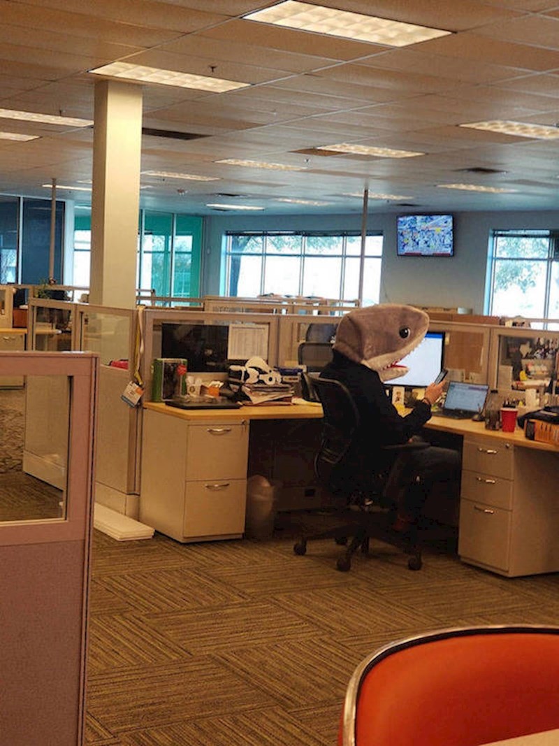 11. Još jedan prosječan dan na poslu