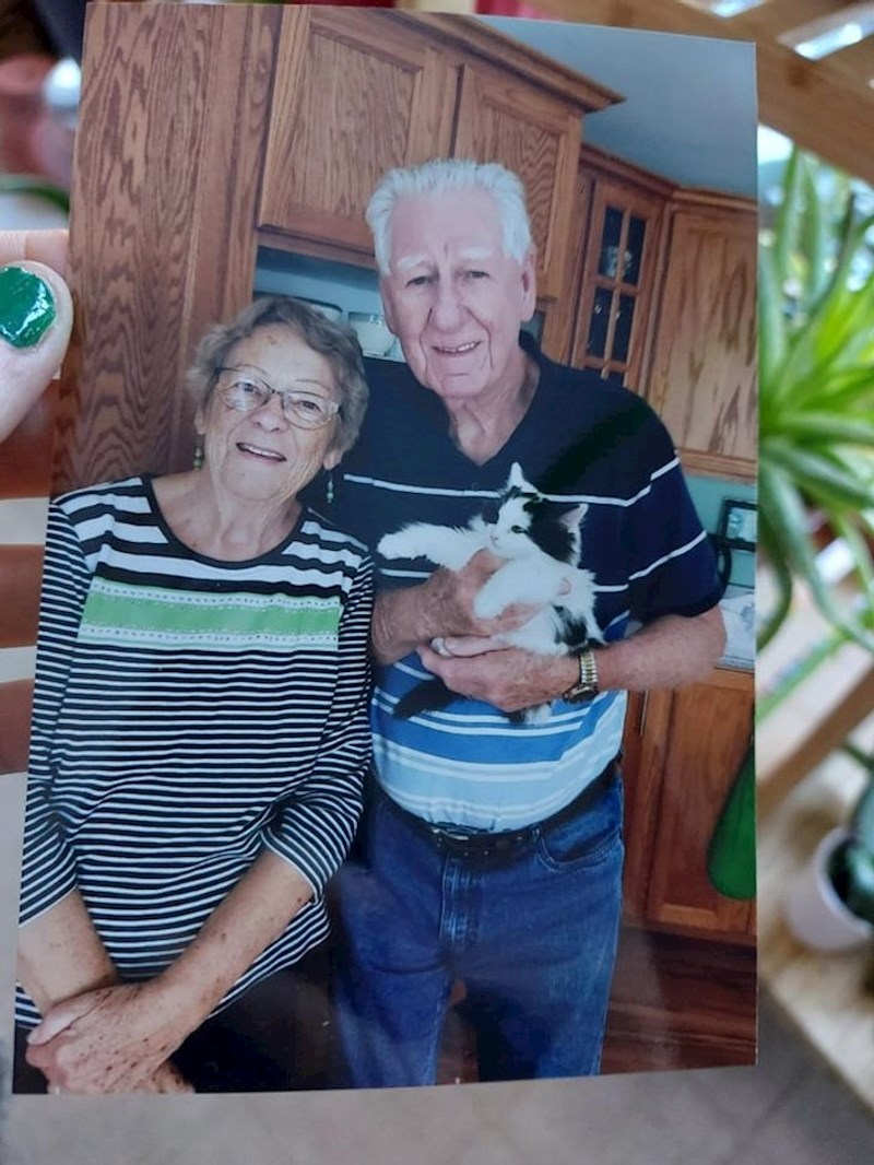 5. Moji baka i djed udomili su macu i poštom mi poslali ovu fotku.