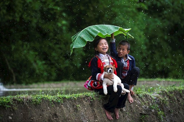 #8 "Kišna ljepota"; Vijetnam