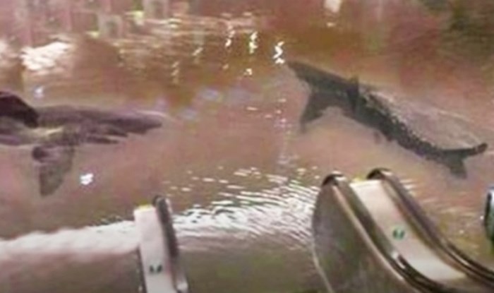 VIDEO 15 ludorija koje možete doživjeti samo u Kini