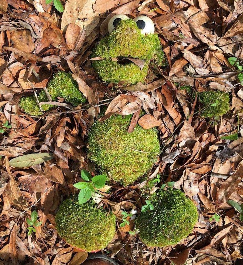 9. Napuštena igračka Elma koju je netko pronašao tijekom šetnje šumom