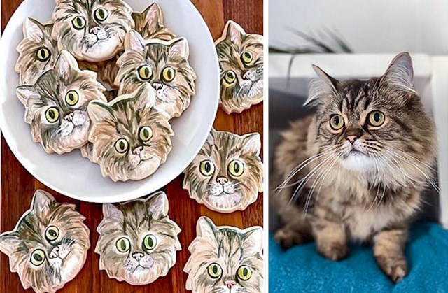 17. "Cura mi je ispekla kolačiće koji izgledaju baš kao moja mačka. I kako da ih ja sad pojedem?!"😂